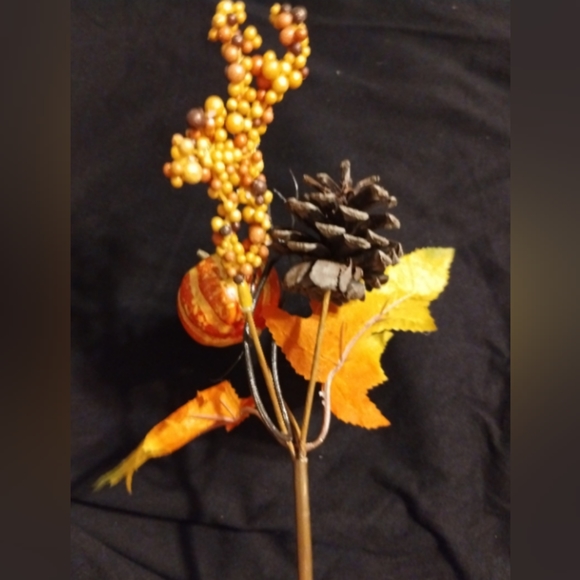 Fall Pens - Picture 4 of 4
